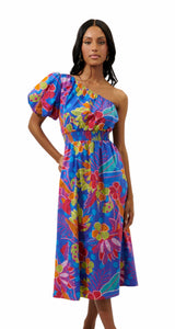 Olivia One Shoulder Midi Dress